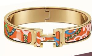 Hermès Hermes Pink Clic Clac H Bracelet PM Multiple colors