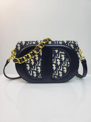 DIOR Luxury CD Signature Bag With Strap