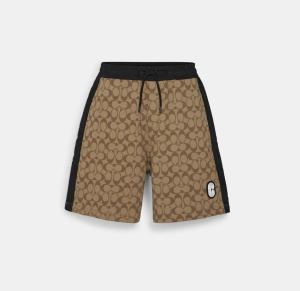Signature Shorts