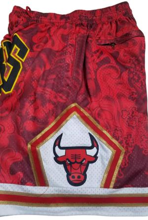 Chicago Bulls 