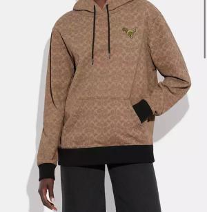 Signature Rexy Hoodie