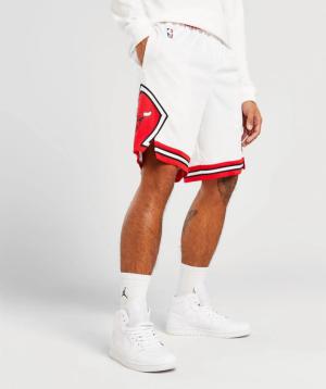 Chicago Bulls Association Edition