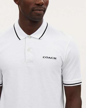 Signature Polo