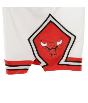 Chicago Bulls Association Edition