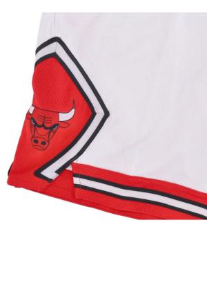 Chicago Bulls Association Edition
